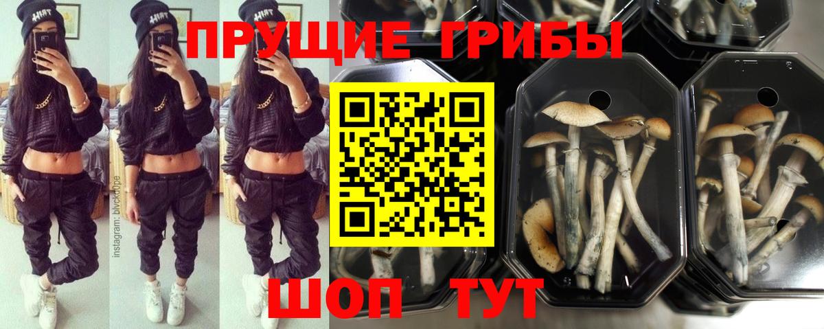 Галлюциногенные грибы Magic Shrooms Санкт-Петербург